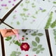thumbnail image 3 of Inteprter Kit de prensa de flores A4, de prensado profesional, seco, esponja para hacer muestras, velas y jabones, proyectos de arte Herramientas de estampado maestro A4, 3 of 6