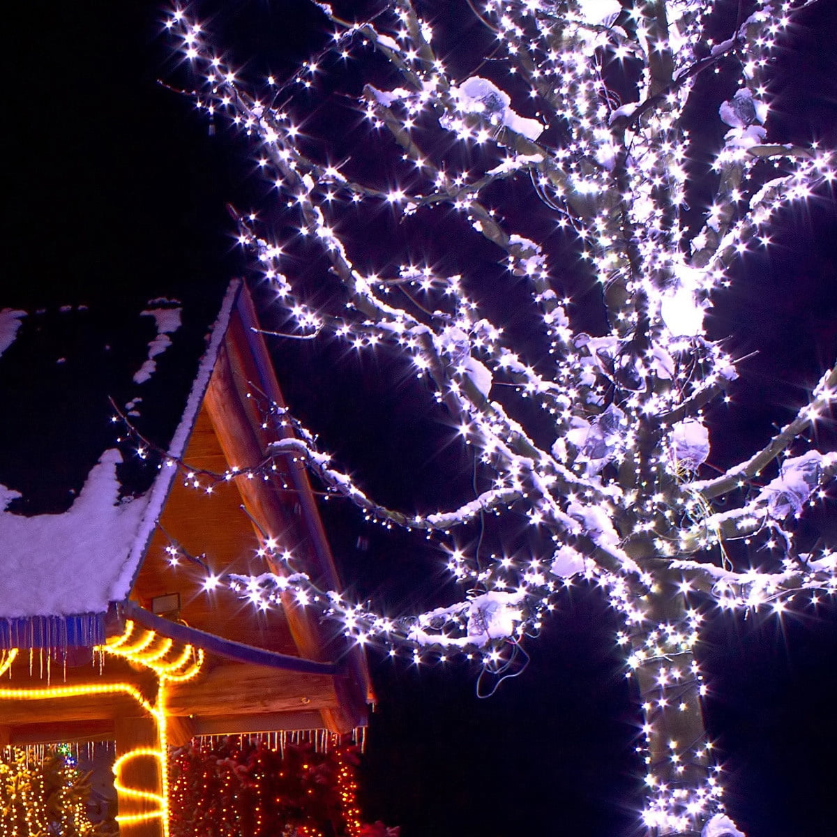 50 Cool White LED Christmas Lights, 25.5' Long Life Connectable Mini Lights for Tree Party Holiday Wedding Decoration