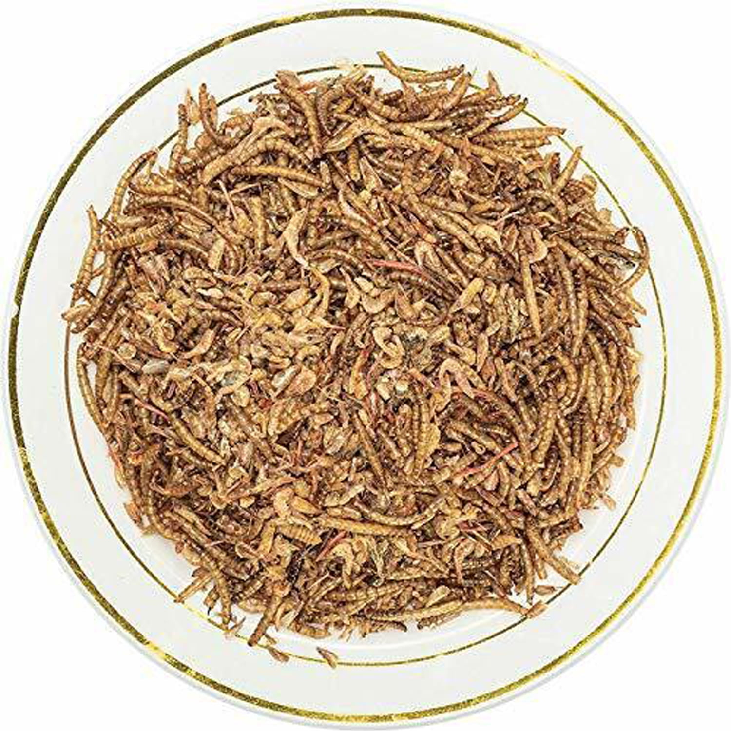 Amzey 2 Pack 1 LB Shrimp & Mealworms, 100% Non-GMO, Wild Bird Food, Chicken Feed, Fish Food, Reptiles Food, 2 lbs Total