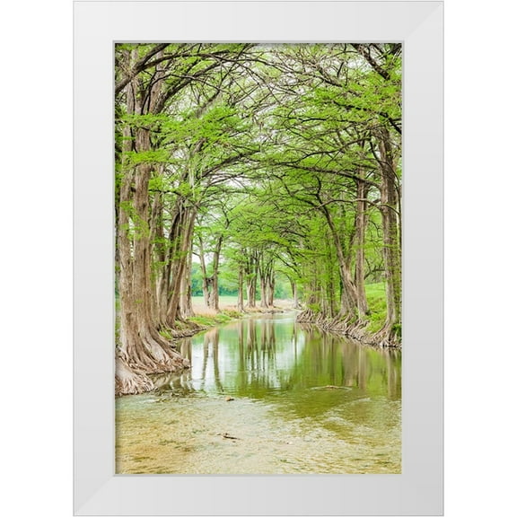 Wilson, Emily M. 11x14 White Modern Wood Framed Museum Art Print Titled - Waring-Texas-USA-Trees along the Guadalupe River in the Texas Hill Country