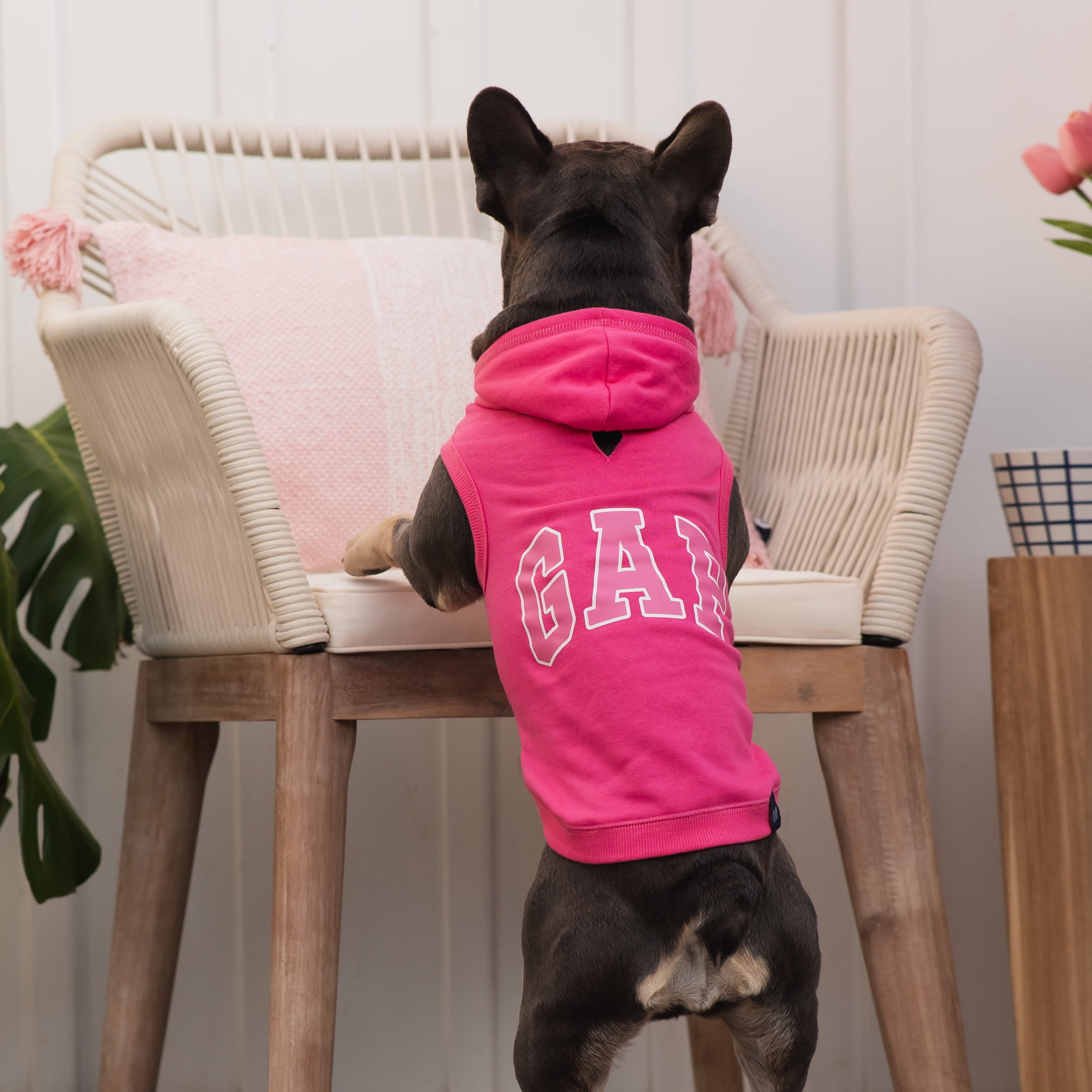 Gap Pet, Dog Clothes, Pink Logo Print Pet Pajama, Size: Large
