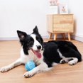 thumbnail image 4 of Dog Chew Ball Rubber: Bouncy Interactive Dog Squeaky Ball Puppy Toothbrush Toy, 4 of 5