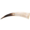 thumbnail image 1 of Bull Horn Flower Vase for Wall Decor Plastic Transparent Handcrafted for Storage Use About 4048 Cm, 1 of 4