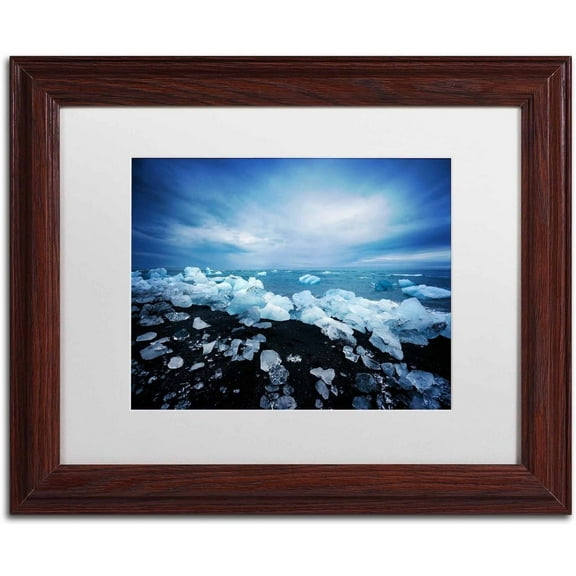 Trademark Fine Art 'Land of Ice' Canvas Art by Philippe Sainte-Laudy, White Matte, Wood Frame