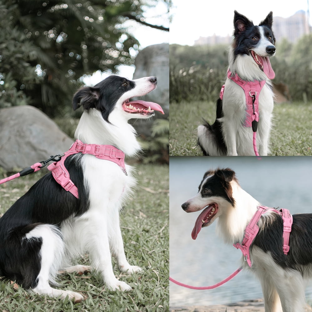 PoyPet Dog Harness and Leash Combo, Escape Proof No Pull Vest Harness, Reflective Adjustable Soft Padded Pet Harness with Handle for Small to Large Dogs