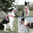 thumbnail image 6 of PoyPet Dog Harness and Leash Combo, Escape Proof No Pull Vest Harness, Reflective Adjustable Soft Padded Pet Harness with Handle for Small to Large Dogs, 6 of 7