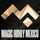 thumbnail image 4 of MAGIC HONEY 12 Sachets Hombre, 4 of 4
