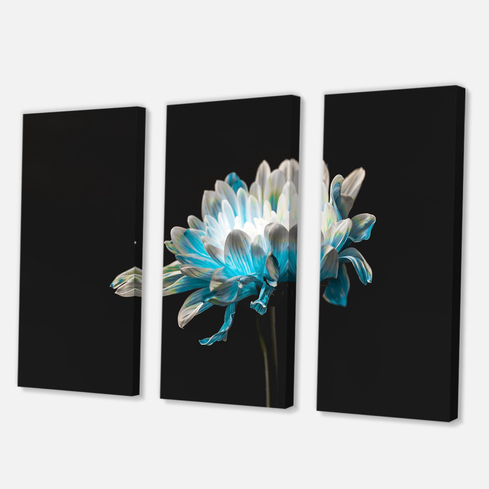 Designart ' Close Up Of White and Pure Blue Daisy Flower I ' Traditional Canvas Wall Art Print