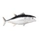 thumbnail image 3 of 2 Figuras De Peces De Juguete Para Niños Y Niñas De 3 Años En Adelante, Decoraciones De Paisajes De Acuario De Simulación, 3 of 10
