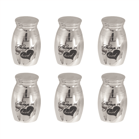 6X Cremation Urns, Ashes Keepsake, Memorial Mini Urn Funeral Urn,6pcs x cremated casket,Silver