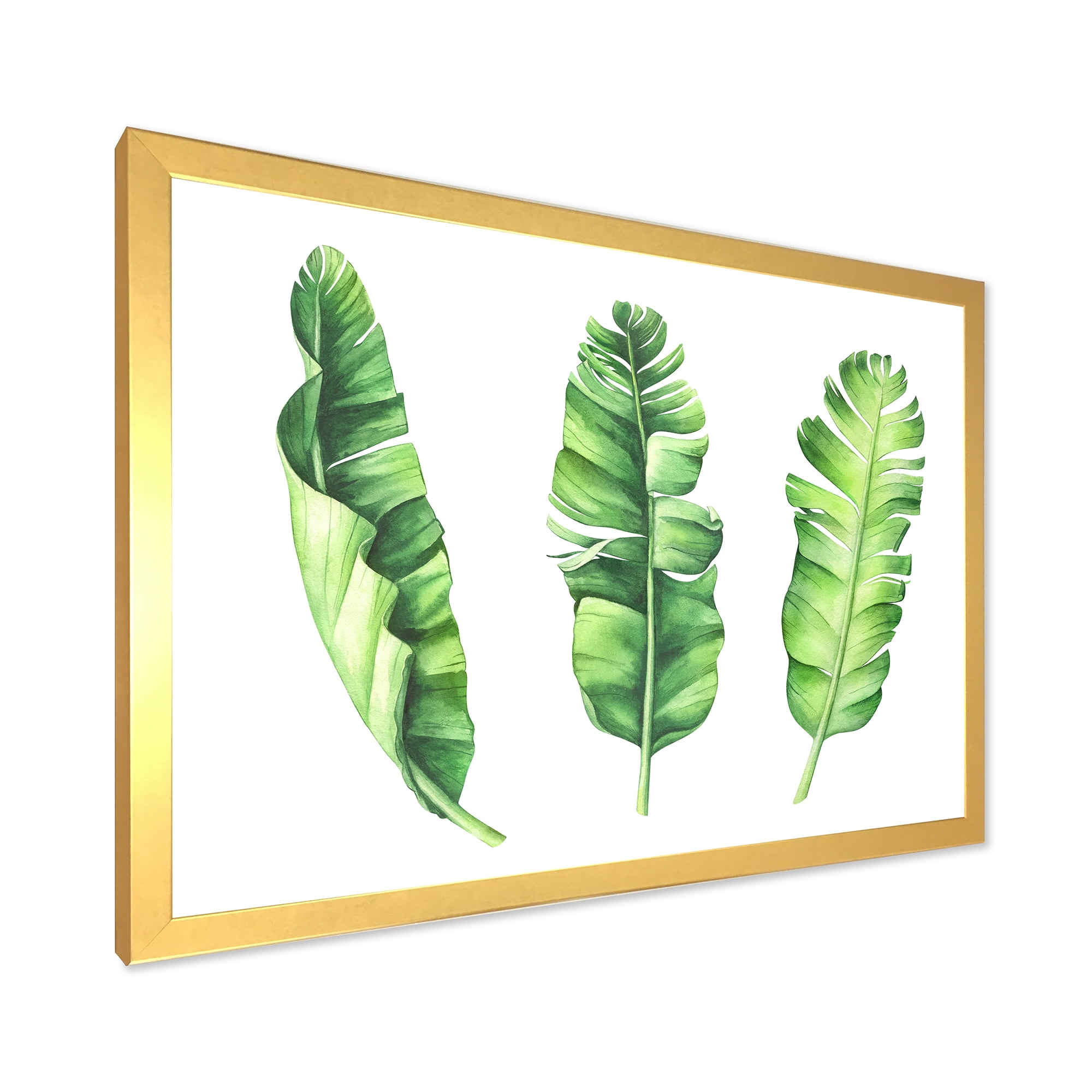 Designart 'Tropical Banana Leaves Set On White' Farmhouse Framed Art Print