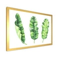 thumbnail image 2 of Designart 'Tropical Banana Leaves Set On White' Farmhouse Framed Art Print, 2 of 4