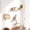 5-Wood, variant on CBJCBJ Solid Wood Cat Wall Mounts Shelves Perches Set, Climbing Wall-mounted Cat Tree House for Cats, 3-Piece