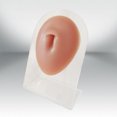 thumbnail image 3 of Modelos de partes del cuerpo Modedo práctico de silicona Delicado sin burbujas para herramienta de demostración de enseñanza de oficina con soporte Sunnimix Modelado de partes del cuerpo humano, 3 of 8