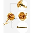 thumbnail image 4 of ERTZAE Mothers Day Flowers Gifts,Gold 10.24" 24K Gold Dipped Carnation,Flower Gifts From Daughter Son,Gifts For Mom Wife Girlfriend Grandma Teacher,Birthday Anniversary Valentines Day&nbsp;Gifts, 4 of 5