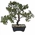 thumbnail image 3 of Vickerman 12 Pouces Pin en Pot Bonsai Tree - TA192012, 3 of 4