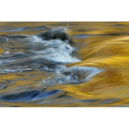 Fall colors reflecting on Swift River, White Mountains National Forest, New Hampshire Print Wall Art By Adam