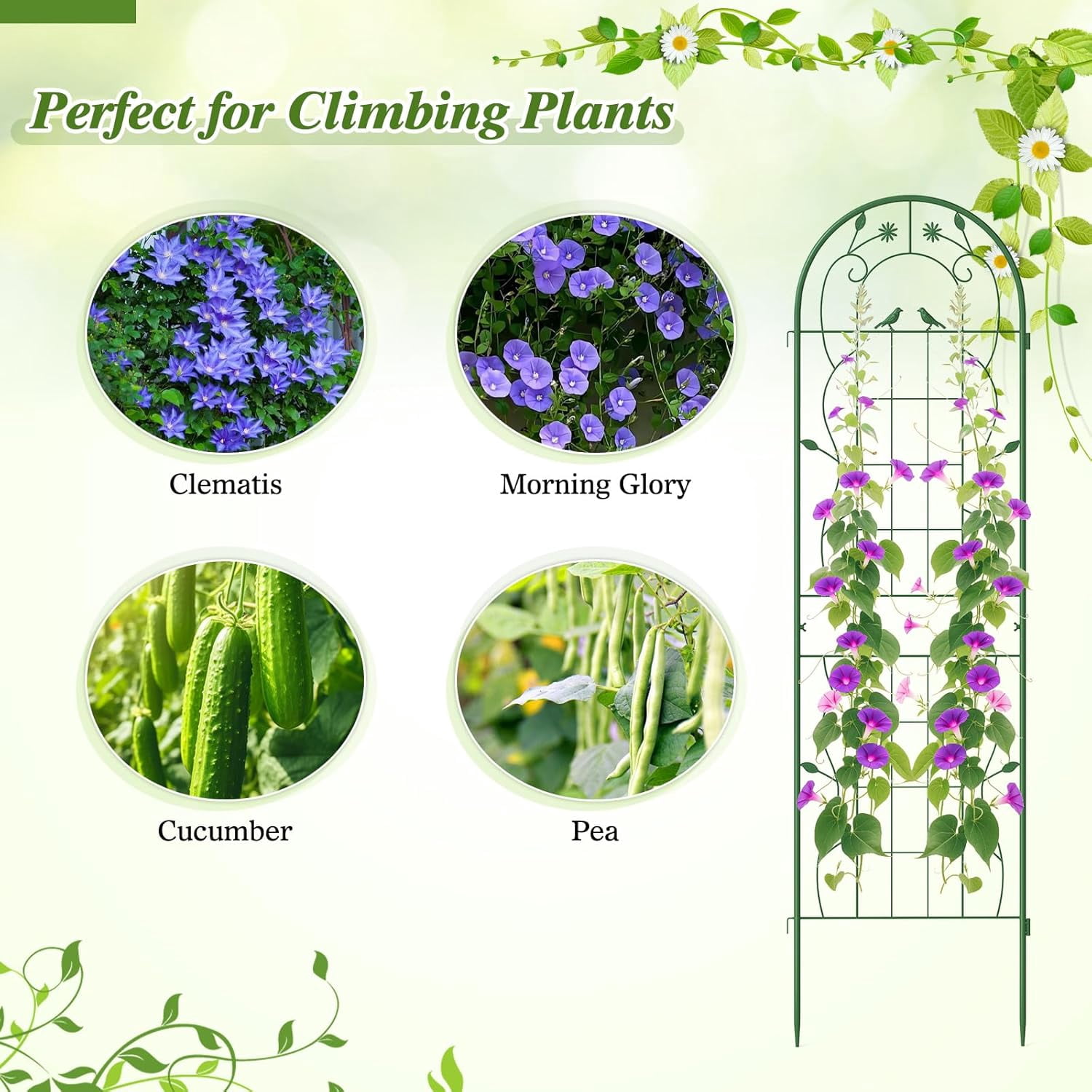 Kingsss 4 Pack Garden Trellis, 71" x 20" Rustproof Metal Plant Trellis Plant Support for Vegetables, Roses, Cucumbers, Rustproof Trellis for Climbing Plants Outdoor for Patio, Yard, Lawn, Green