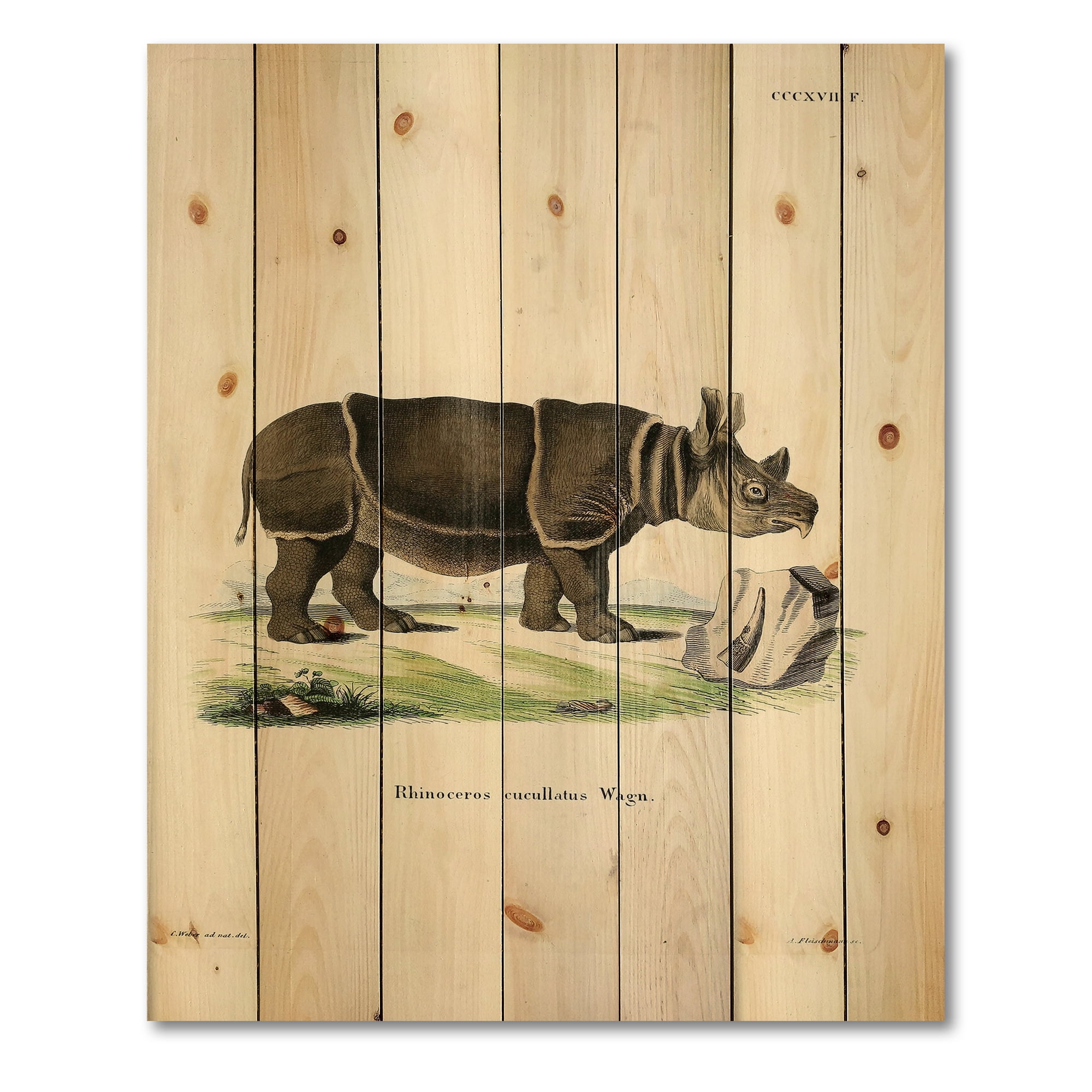 Designart 'Ancient Rhinoceros' Farmhouse Print on Natural Pine Wood