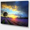 thumbnail image 2 of Colorful Sky over Vibrant Lavender Field - Floral Canvas Art Print, 2 of 3