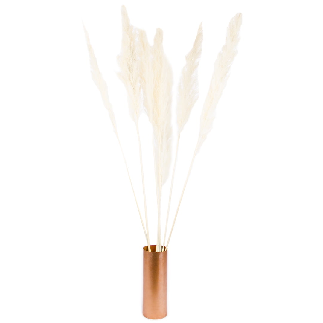 Koyal Wholesale Tall Natural Dried Pampas Grass, Natural White Color, 51-55 Inches, Bulk 24 Pcs Extra Large Real Pampas