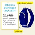 thumbnail image 4 of Country Brook Petz® 1 1/2 inch Royal Blue Martingale Heavyduty Nylon Dog Collar, Large, 4 of 7