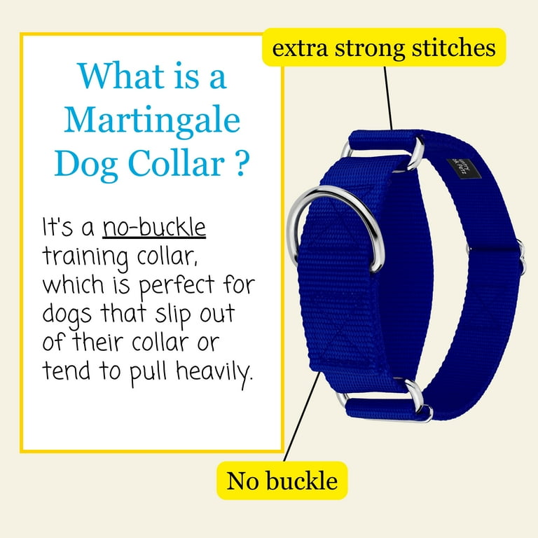 Country Brook Petz HossFit Jr Martingale Dog Collar, Medium photo 4