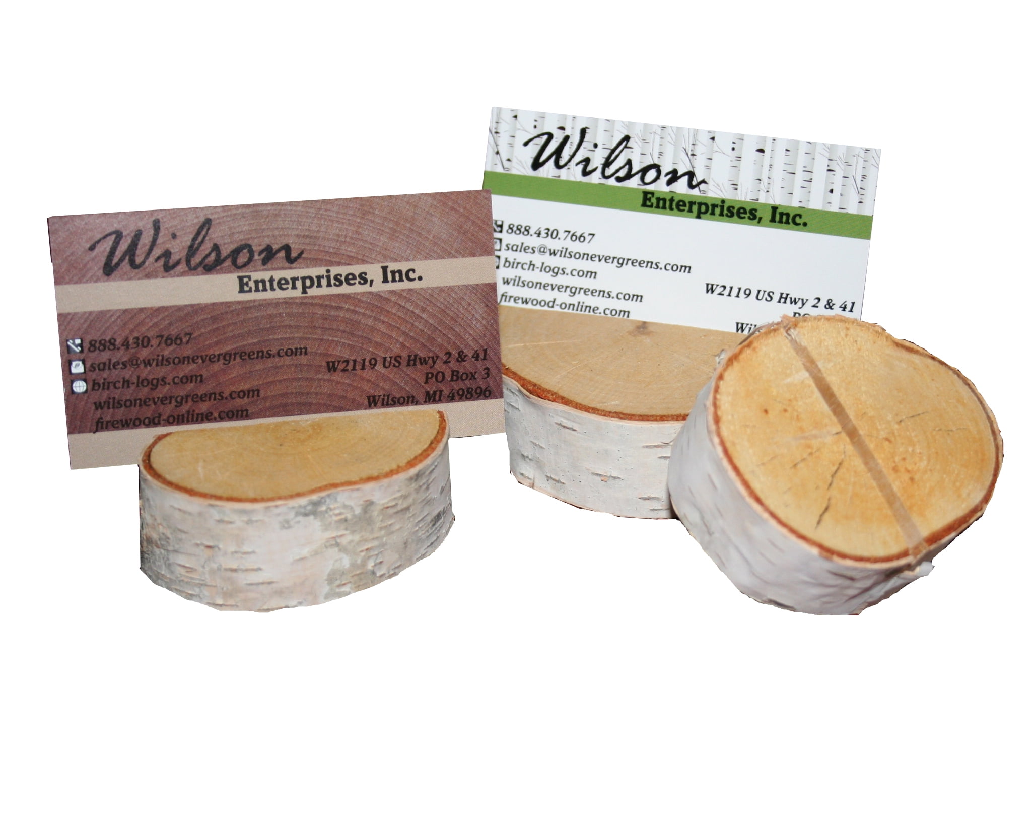 White Birch Card Holder