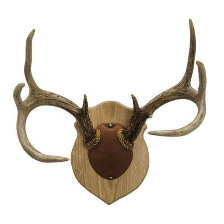 Walnut Hollow Country Solid Oak Antler Mount Kit for Whitetail & Mule (Best Deer Antler Mounting Kit)