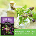 thumbnail image 5 of Self Heal Seeds - Heirloom Partial Shade Perennial Herb - 5 Packs, 5 of 9