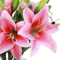 thumbnail image 3 of Yirtree 3 Branch Artificial Flowers Lily Real Touch Fake Flowers for Wedding Home Party Garden Shop Office Decoration Plastic Lily Photo Props Home Decor, 3 of 8