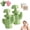 2pcsGreen, variant on 2026 New Ear Piercing Cleaner Floss With Cactus Storage Case,Piercing Cleaning Kit,Disposable Ear Hole Cleaner String,Earring Hole Piercing Aftercare Cleaning Tool Set For Girls Women Men (Pink)