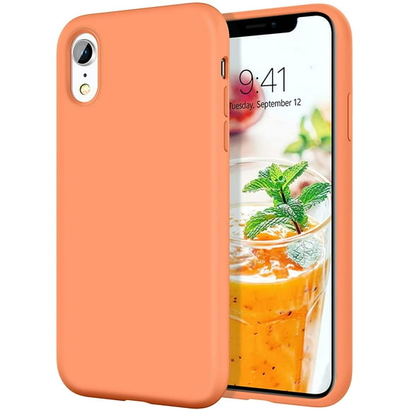 iPhone XR Cases, iPhone XR Case FYBTO Slim Lightweight Smooth Liquid Silicone Soft Gel Rubber Microfiber Lining Cushion Texture Cover Shockproof Protective Phone Cases for iPhone 10 XR, Light Blue