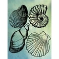 thumbnail image 2 of Phillip, Jamie 25x32 White Modern Wood Framed Museum Art Print Titled - Bath Shells, 2 of 4