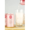 thumbnail image 3 of AmishTastes Frannies Sparkling Pink Pomelo Paloma, Protected With High-Density Foam, 12 Oz. 12 Ounce Case of 24, 3 of 8