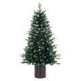 thumbnail image 1 of 4.5' x 30" Potted Spruce Dura-Lit 120WW, 1 of 1