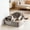 Silver B, variant on Floleo Jumbo Stainless Steel Cat Litter Box – High Sided Litter Pan with Non-Slip Feet, Odor Control Silver Litter Box for Large Cats, Easy Clean Open Top Kitty Litter Box