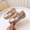 thumbnail image 2 of Wdgfv Toddler Girls Mary Jane Dress Shoes,Wedding Party Little School,Soft Sole Flower Leather,Princess Baby Shoes 6-7 Years, 2 of 9