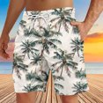 thumbnail image 1 of Soki Beach Shorts Décontractés pour Hommes Shorts Graphiques en Liquidation, 1 of 4