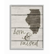 Stupell IndustriesBorn And Raised IllinoisFramed Wall Art by Daphne Polselli