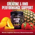 thumbnail image 4 of NutraBio Creatine + HMB- Creatine Monohydrate with HMB Powder for Muscle Growth, Increased Strength- 30 Servings (Paradise Punch), 4 of 9