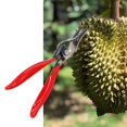 thumbnail image 3 of Outils pour Casser la Pelure de Durian Écraseur de Durian en Acier Inoxydable Pince pour Coquille de Fruit Durian, 3 of 8