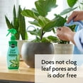 MiracleGro Leaf Shine, 8 oz