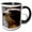 Black/White, variant on 3drose, a Close up of a Hawk, 15oz Mug
