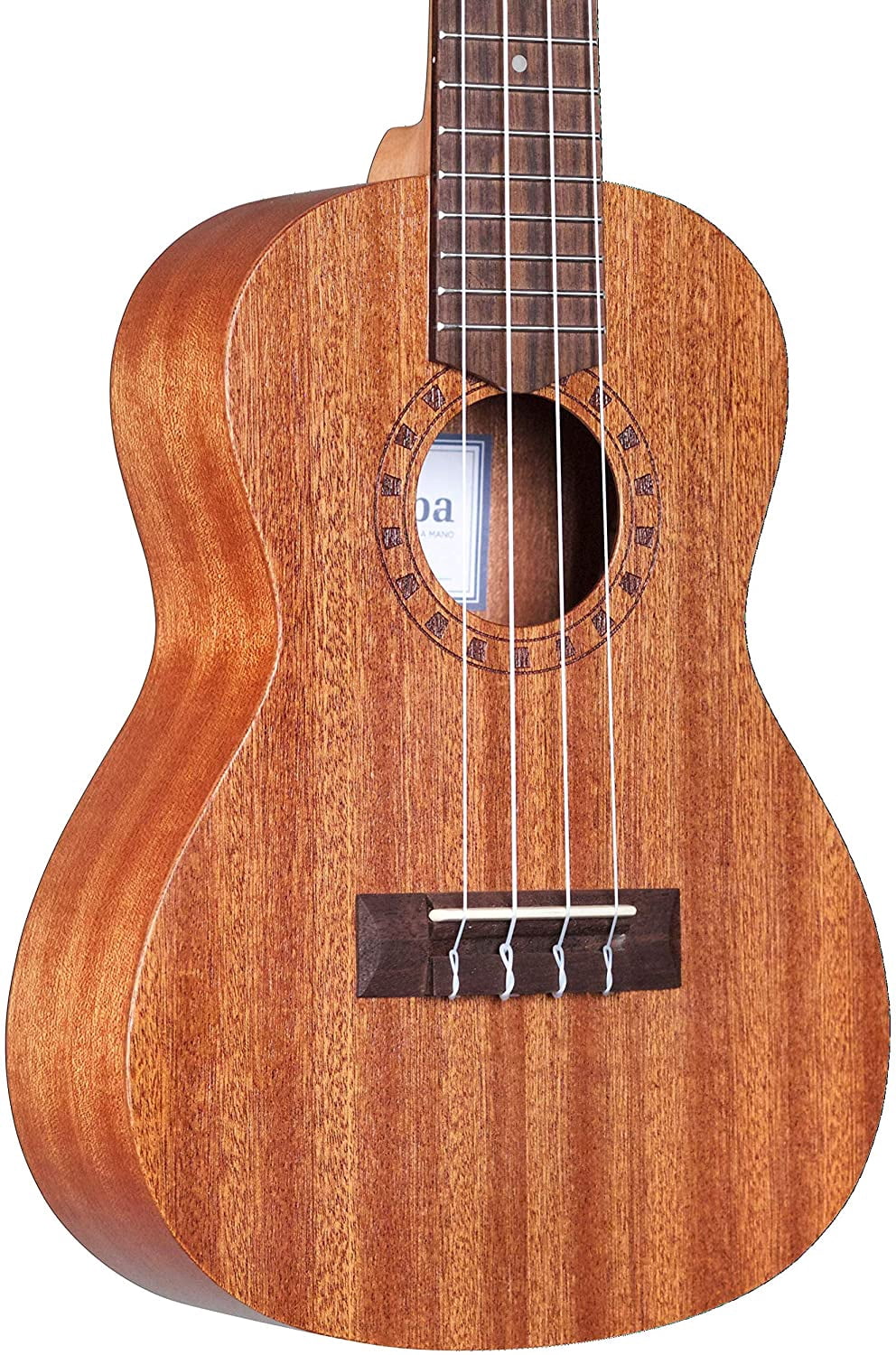 Concert Ukulele Player Pack with Travel Bag