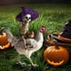 thumbnail image 5 of Fiudx Estaca de Halloween para Jardín, Arte de Hierro Metálico, Diseño Duradero, Temática de Calabaza, Murciélago y Bruja Espeluznante, Decoración de Jardín Al Aire Libre, Resistente a La Intemperie,, 5 of 5