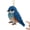 3, variant on DIY Bird Beading Kit for Adults Beginners, 2D Bird Beading Craft Set with Colorful Beads and Instructions Guide, Handmade Beaded Embroidery Kit for Women and Craft Lovers