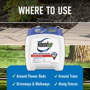 Roundup Weed & Grass Killer₄ with Pump 'N Go 2 Sprayer, 1.33 gal.