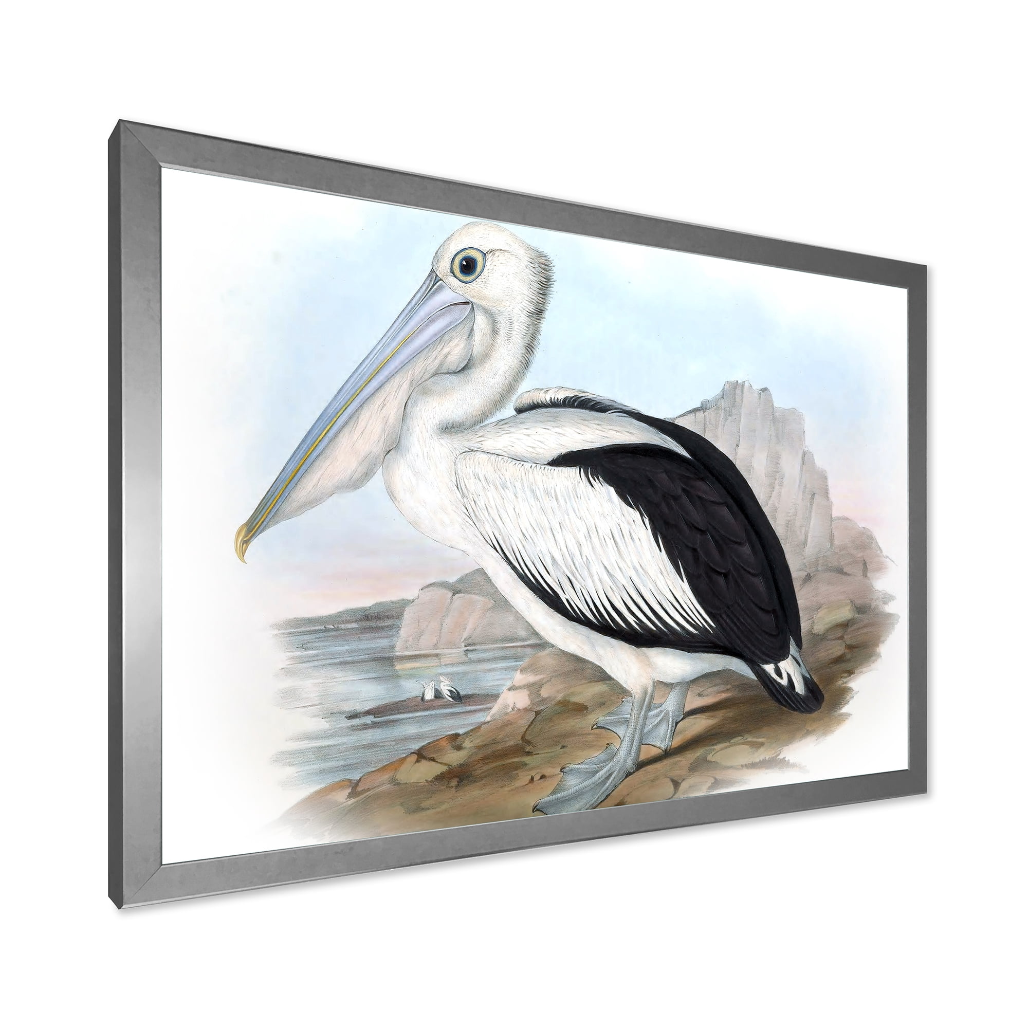 Designart 'Ancient Australian Birds VIII' Traditional Framed Art Print