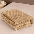 thumbnail image 6 of Specollect Thickened Golden Turtle Velvet Blanket, Multifunctional, Perfect for Napping & Home Decor, Machine Washable 100x70cm, 6 of 6